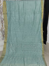 Sea Green Chanderi  Saree with Chikankari Embroidery